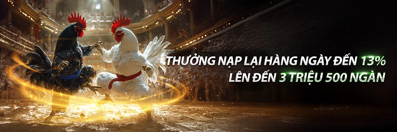 Đá gà trực tuyến tại PK8