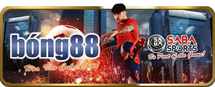 Các loại hình cá cược đa dạng tại PK8
